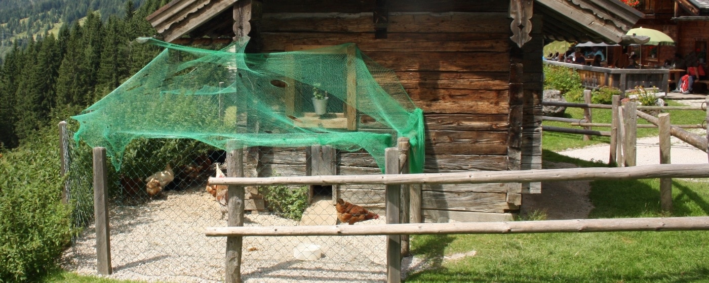Ländlicher Hühnerstall mit Freilauf