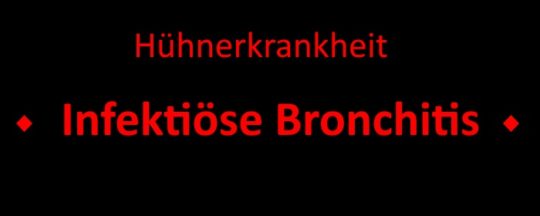 Infektiöse Bronchitis