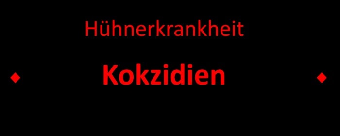 Kokzidien - Kükenruhr