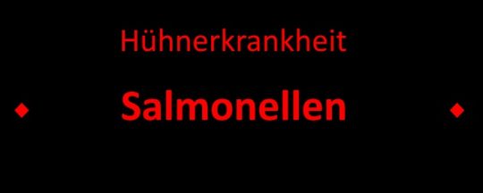 Salmonellen