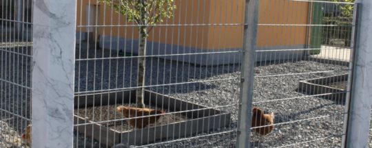 Hühnergehege nach oben geschlossen
