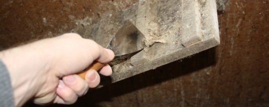 Regelmäßige Arbeiten in der Hühnerhaltung